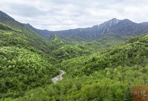 山一谷在线视频,探寻自然奇观与人文历史的完美融合