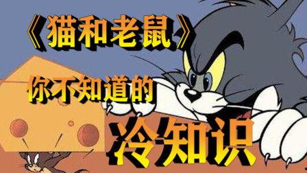 汤姆在线视频观,揭秘科技与生活的完美融合