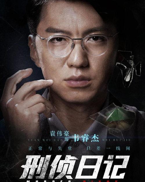 刑侦日记在线视频,揭秘罪案背后的真相与人性较量