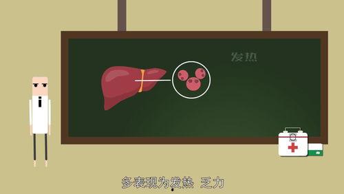 小心肝在线视频